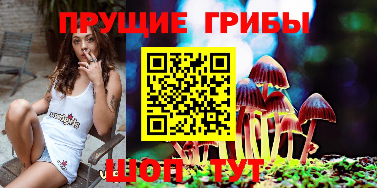 Галлюциногенные грибы GOLDEN TEACHER  Вход с VPN  Галлюциногенные грибы ЛСД  где найти наркотики  Качканар 