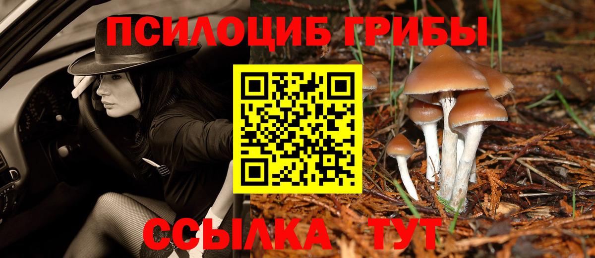 Галлюциногенные грибы мицелий Качканар